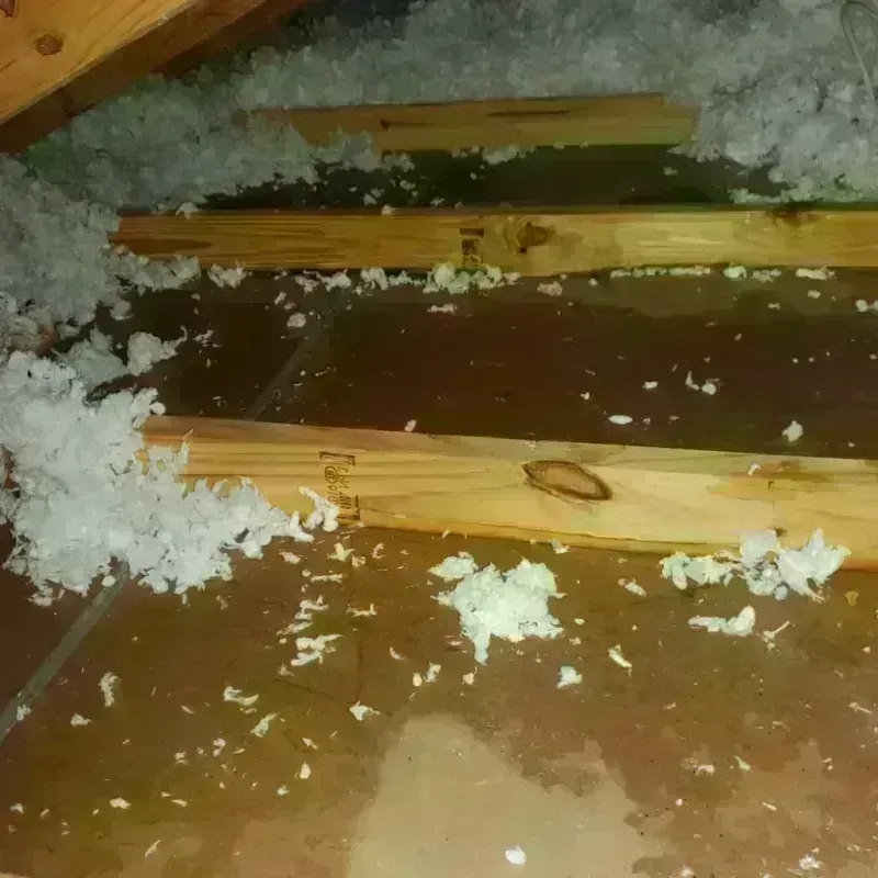 Attic Water Damage in Lexington, NC