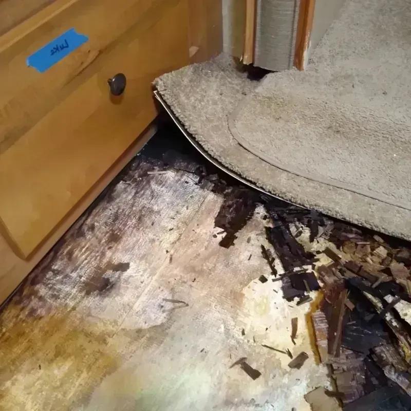 Wood Floor Water Damage in Lexington, NC